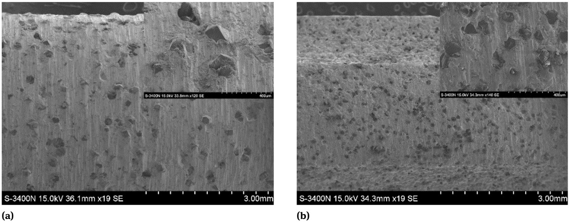 Figure 6 SEM photographs of the abrasive electrode: (a) Abrasive round electrode; (b) Abrasive shaped electrode.