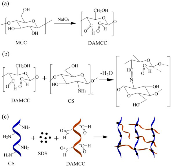 Figure 1 (a) MCC oxidized to DAMCC by NaOI4; (b) Schiff base reaction between DAMCC and CS; (c) Synthesis of DAMCC/CMCS foam gel