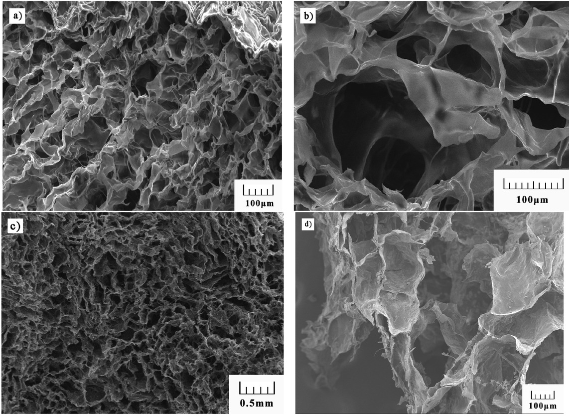 Figure 7 SEM images of foam gel synthesized at 4% SDS