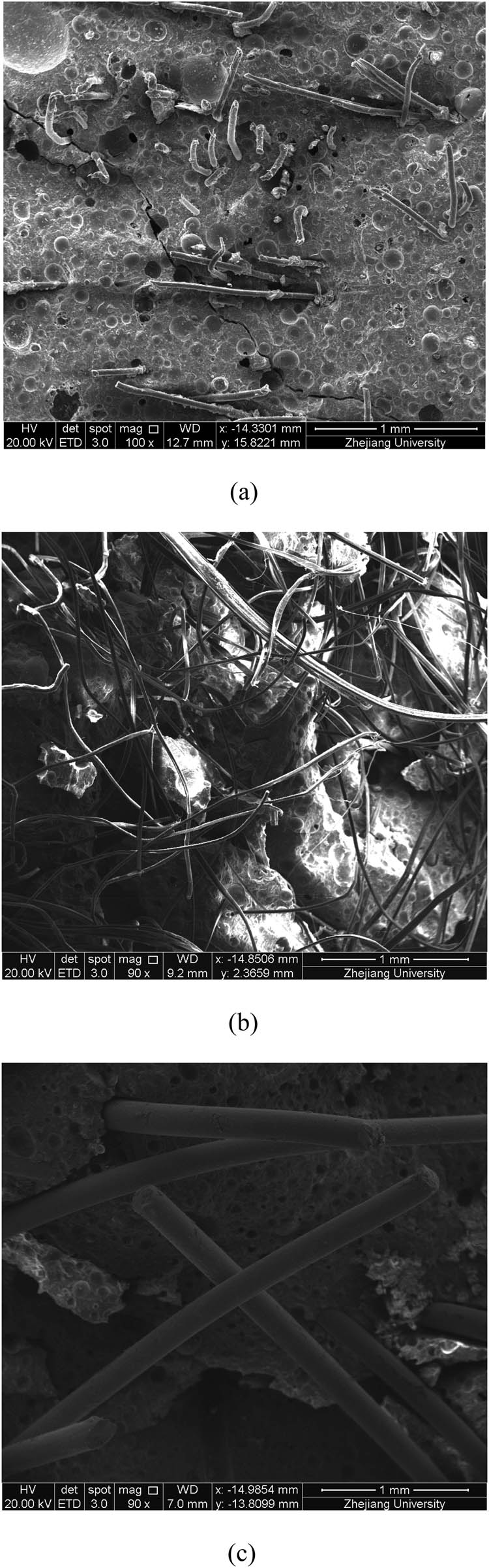 Figure 16
SEM image of the fracture specimen with different fiber types. (a) PVA; (b) PE; (c) SF.