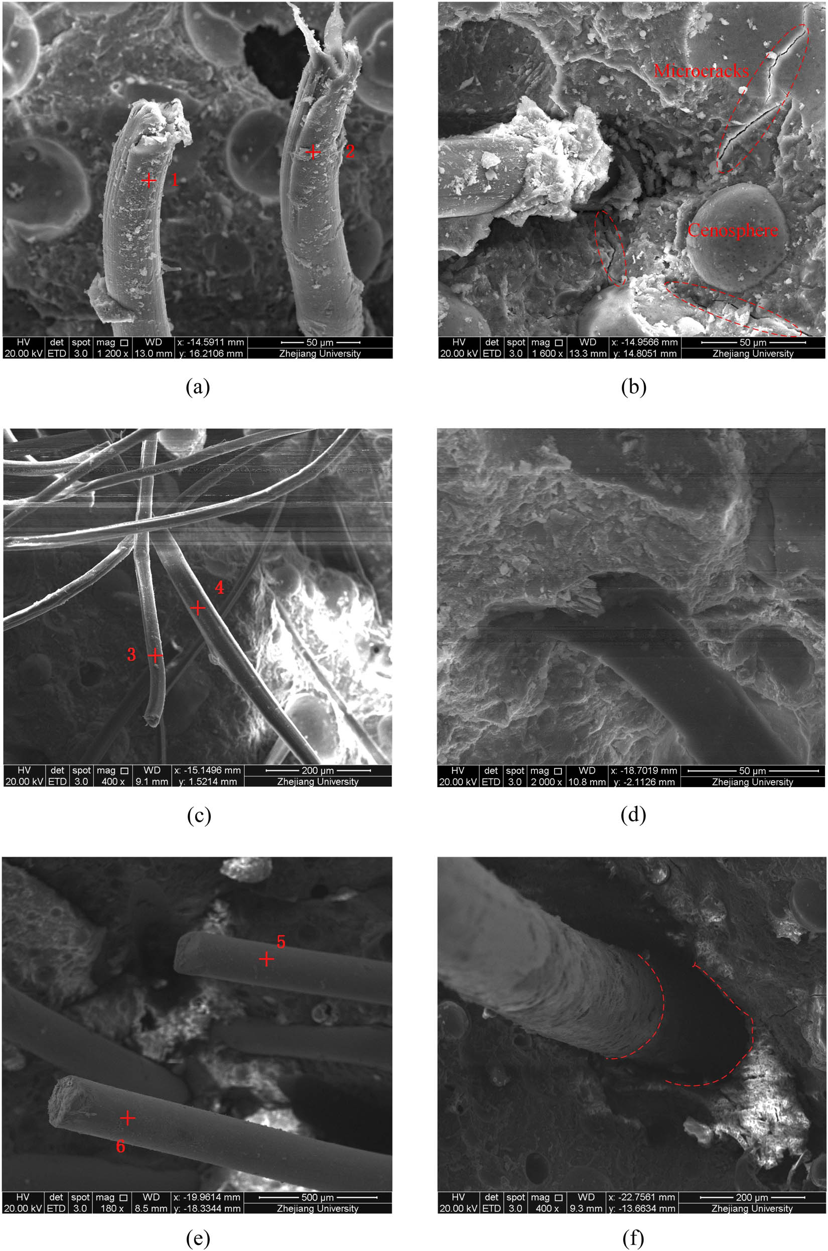 Figure 17
Different types of fiber morphology in lightweight cement-based composites after the uniaxial tensile test. (a) PVA; (b) PVA; (c) PE; (d) PE; (e) SF; (f) SF.