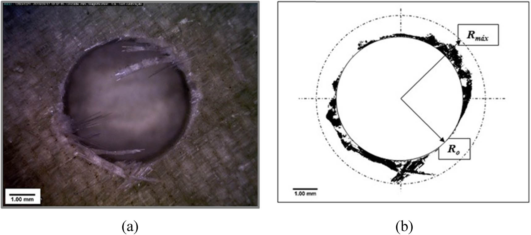 Figure 2 
                  Output hole 1: (a) original image and (b) segmented image used for the calculation of 
                        
                           
                           
                              
                                 
                                    F
                                 
                                 
                                    da
                                 
                              
                           
                           {F}_{\text{da}}
                        
                     .
               