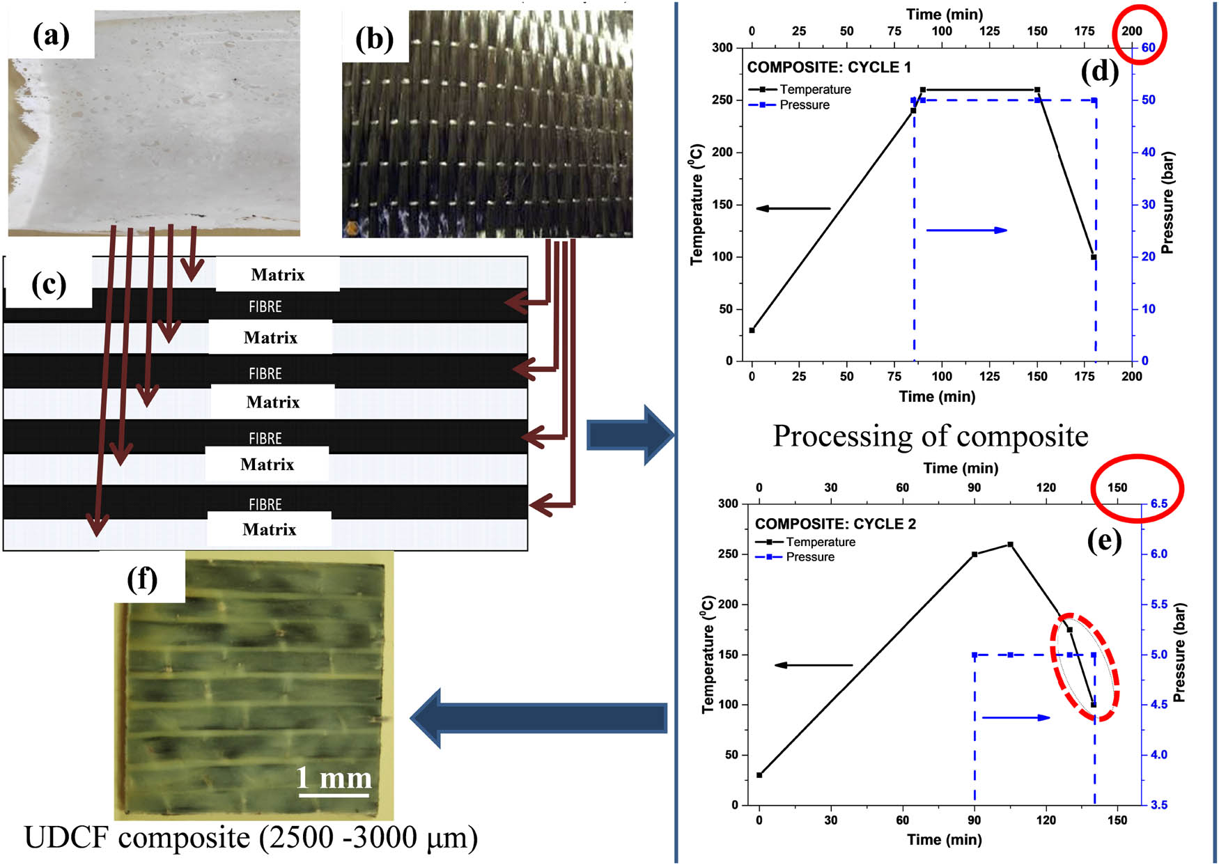 Figure 1 
                  (a) Blend matrix sheet (900 µm thickness), (b) UDCF stitched fabric (120 µm thickness), (c) schematic of the alternate layer of matrix and fibre as arranged in compression molding. Processing of composite (d) cycle-1 and (e) cycle-2 wherein dotted circle represents the water-cooled zone, and (f) final composite specimen of 2.5–3 mm thickness.
               