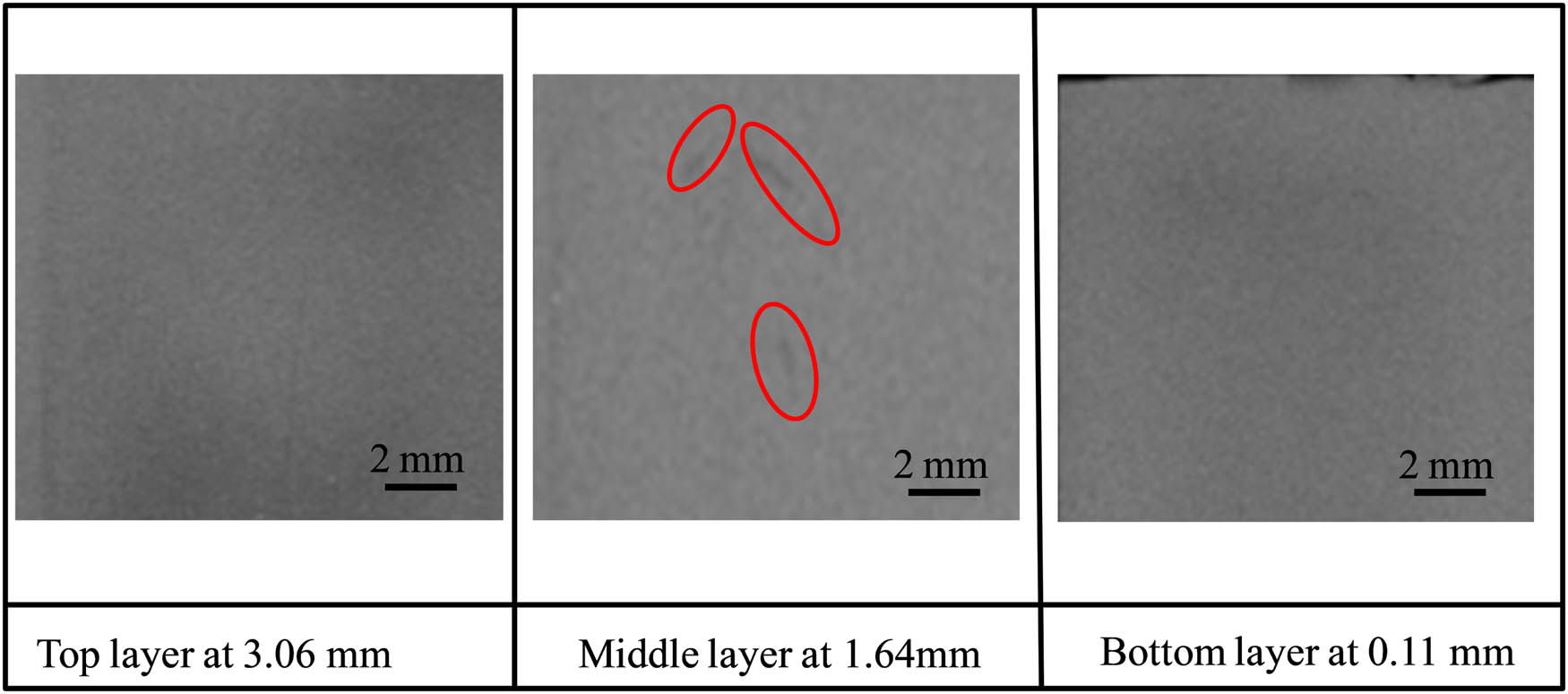 Figure 5 
                  CT-scan of the SCF-1 composite specimen having a thickness of 3.2 mm. The solid circles indicate fine cracks, which are found only in the middle layer.
               