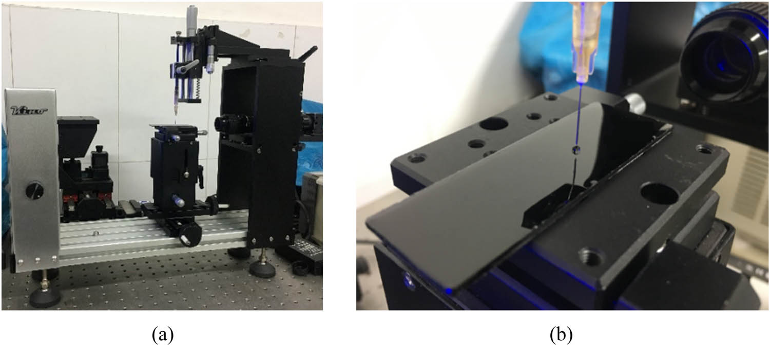 Figure 2 
                  (a) Contact angle tester and (b) reagent droplets.
               