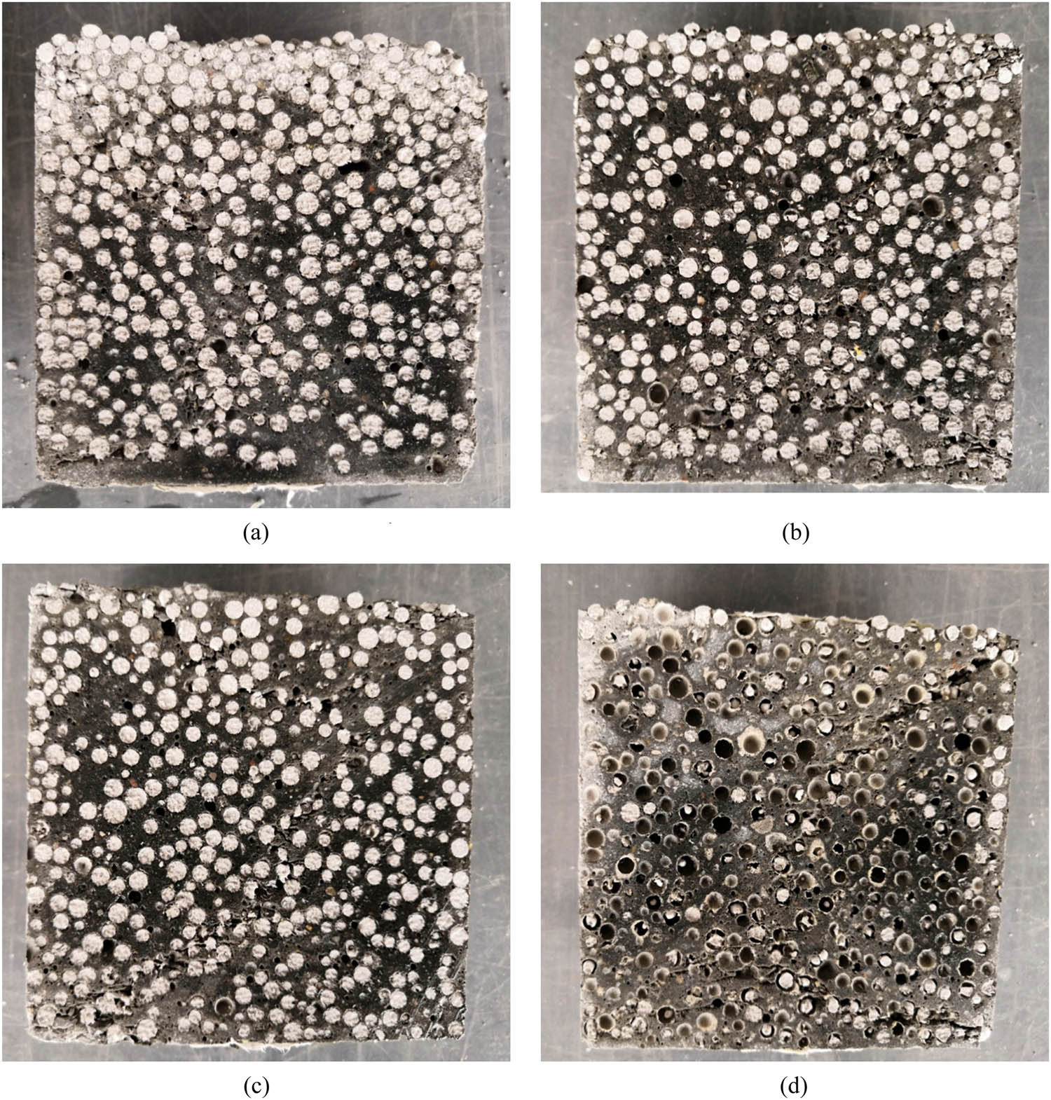 Figure 6 
                  Section morphology of EPS concrete: (a) 1# test specimen, (b) 2# test specimen, (c) 3# test specimen, and (d) 4# test specimen.
               