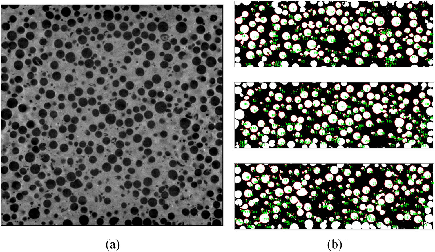 Figure 9 
                  3# specimen CT scanning section and EPS area: (a) CT scan and (b) upper, middle, and lower EPS area.
               
