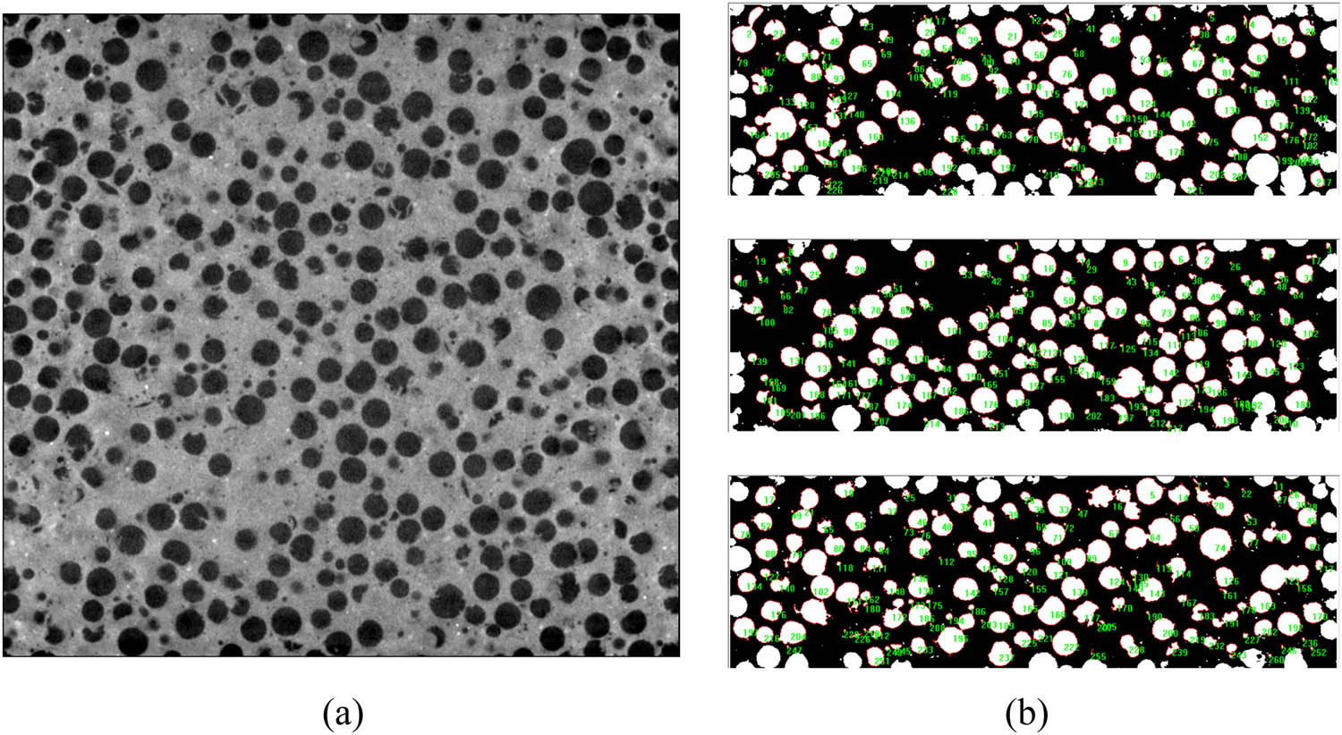 Figure 10 
                  4# specimen CT scanning section and EPS area: (a) CT scan and (b) upper, middle, and lower EPS area.
               