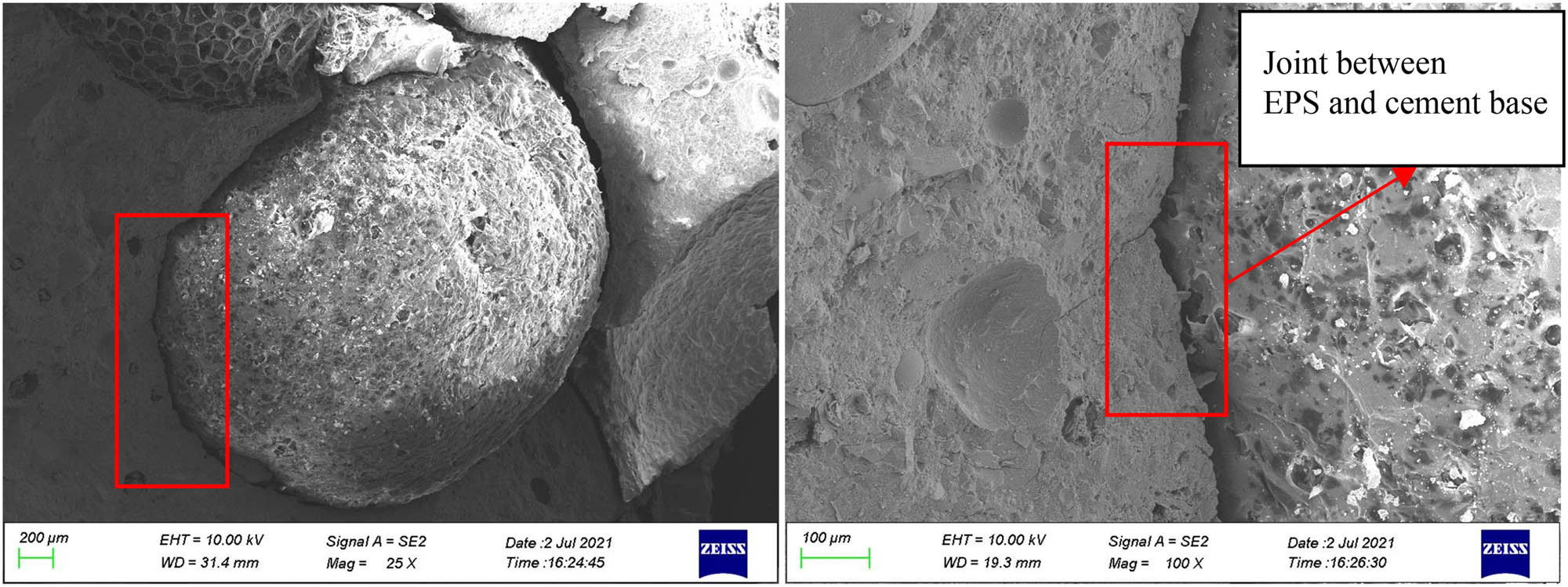 Figure 13 
                     1# concrete specimen SEM.
                  