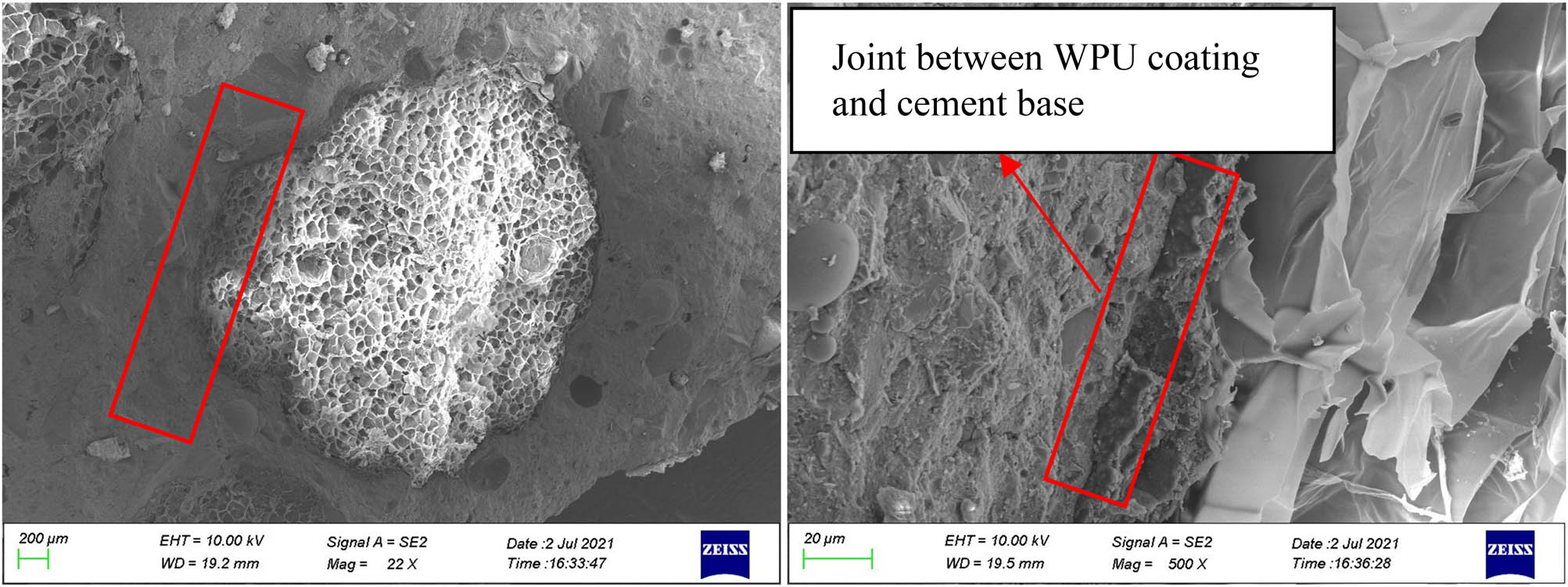 Figure 16 
                     4# concrete specimen SEM.
                  