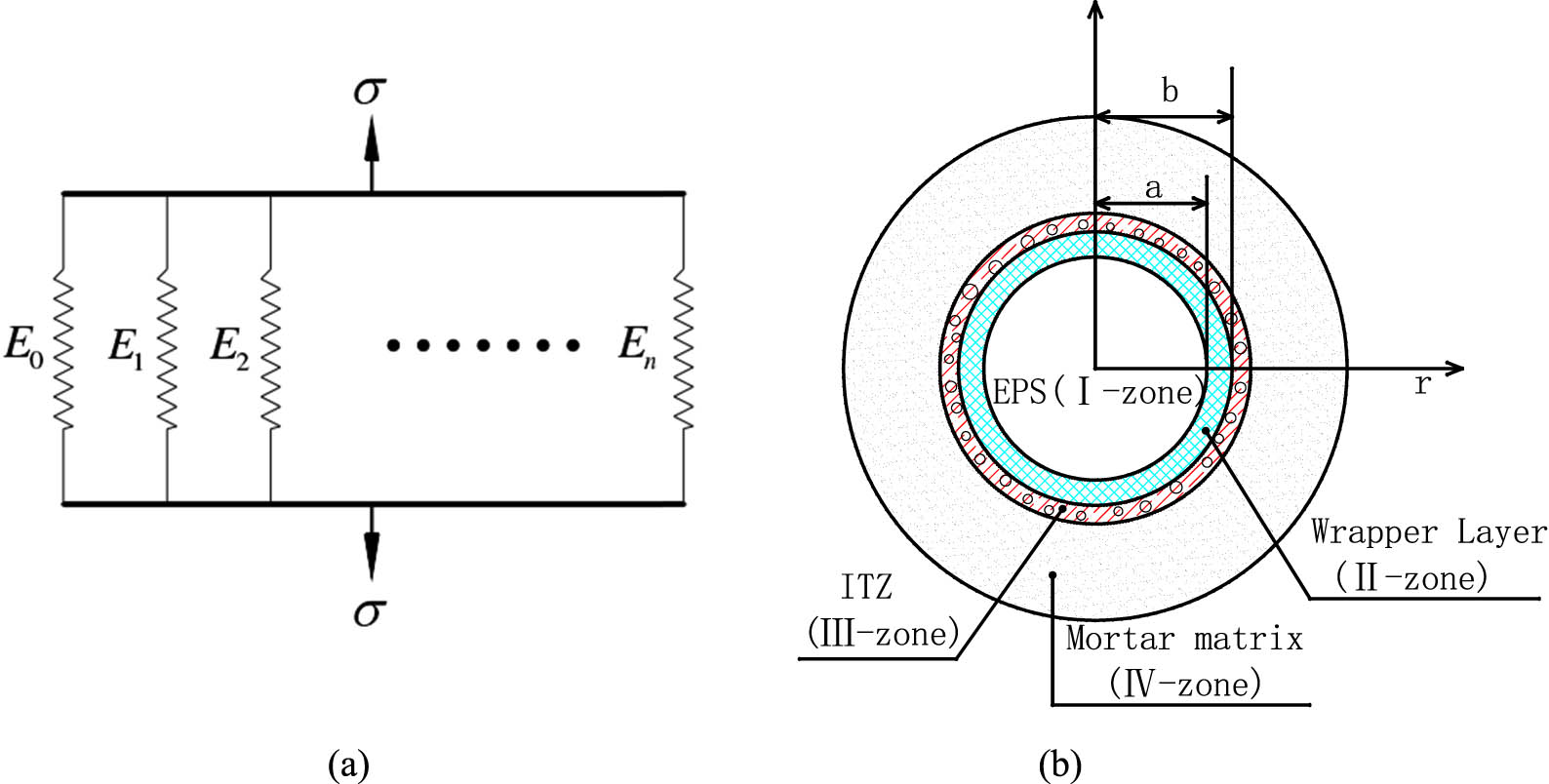 Figure 17 
                  EPS concrete model: (a) Voigt model and (b) computational model.
               