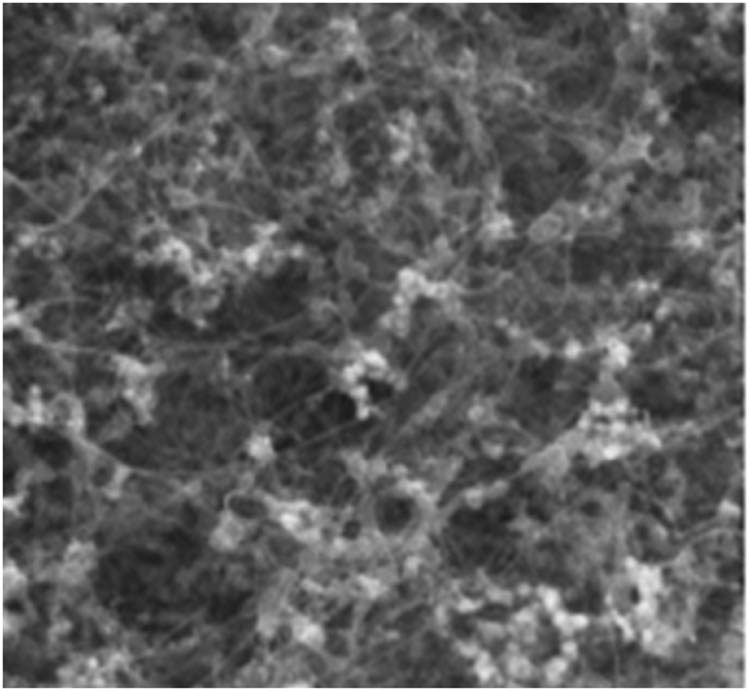 Figure 1 
               Appearance of carbon nanotubes.