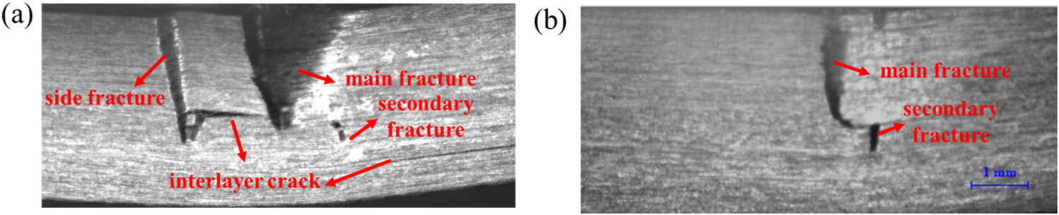 Figure 8 
                  Macroscopic failure process through lateral surface of (a) composite and (b) Z-pin composite under three-point flexural load after 7 day immersion with 60% flexural load.