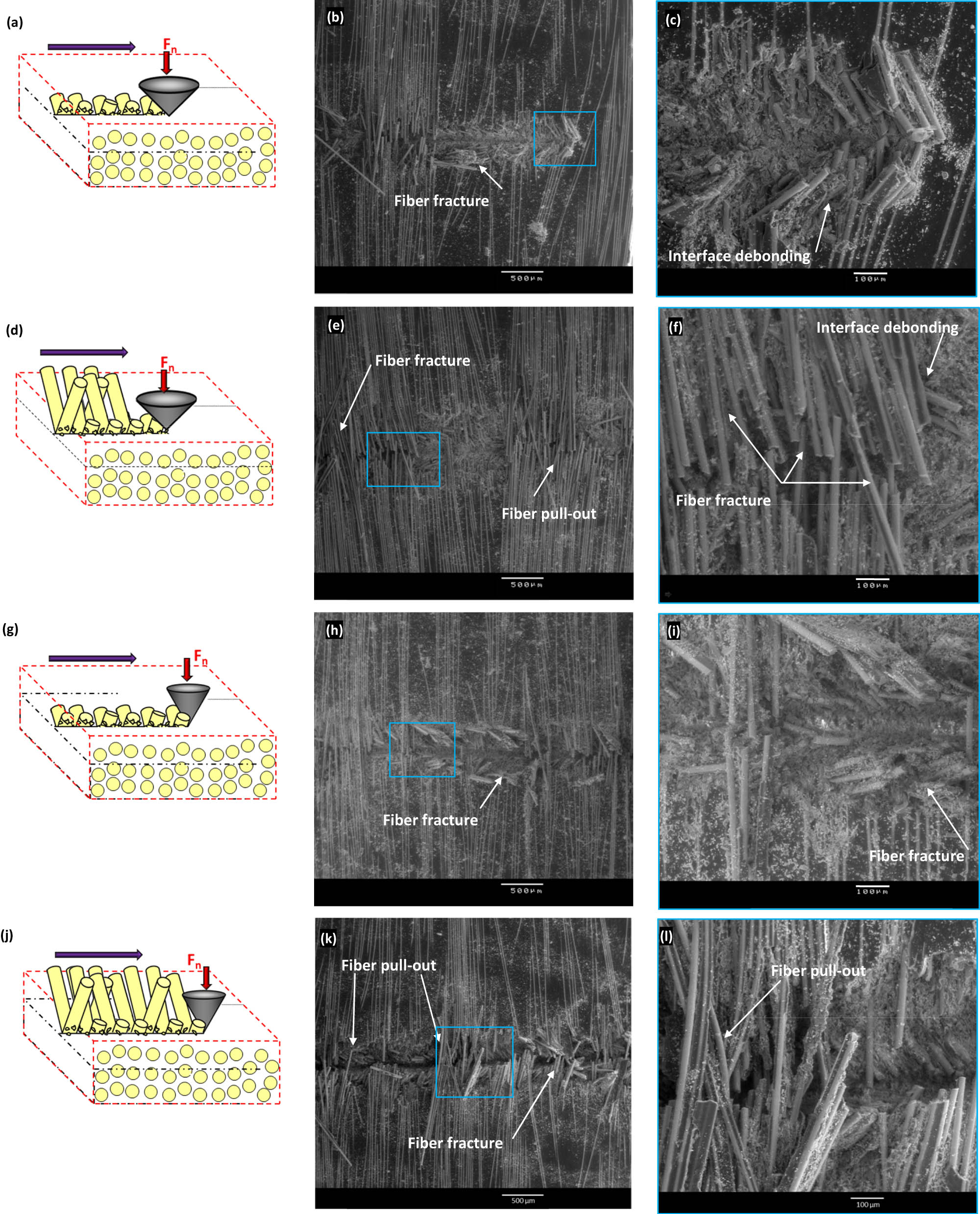 Figure 5 
                     Wear scenarios and SEM micrographs emphasizing the SST⊥ wear mechanisms. (a–c) θ = 45°−
                           F
                        
                        
                           n
                         = 20 N, (d–f) θ = 45°−
                           F
                        
                        
                           n
                         = 50 N, (g–i) θ = 60°−
                           F
                        
                        
                           n
                         = 20 N, and (j–l) θ = 60°−
                           F
                        
                        
                           n
                         = 50 N.
                  