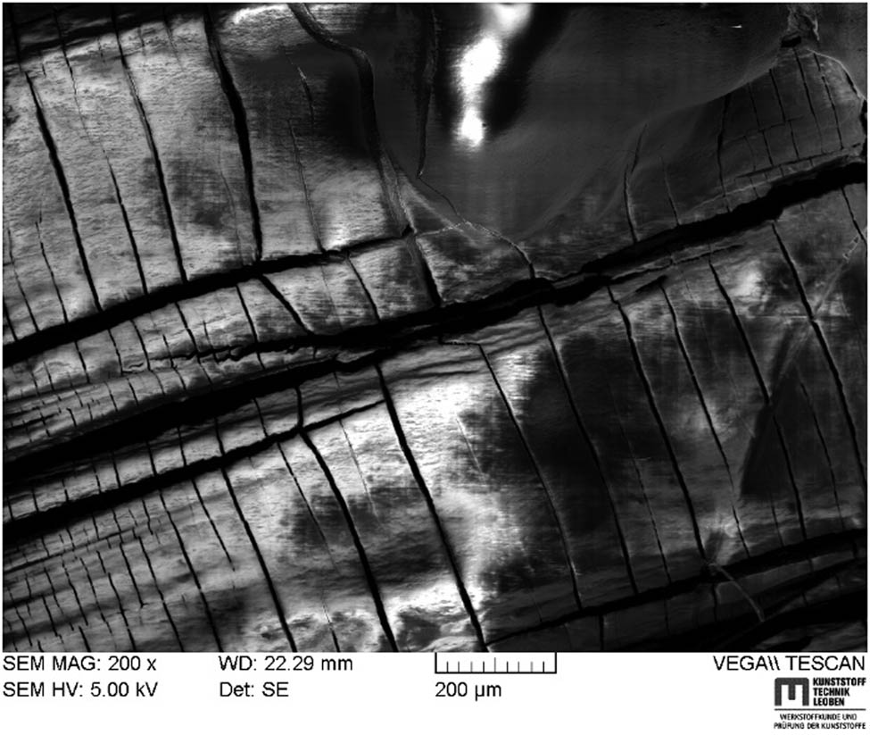 Figure 12 
                     SiO2-modified carbon fibers using 60 V and 15 min.
                  