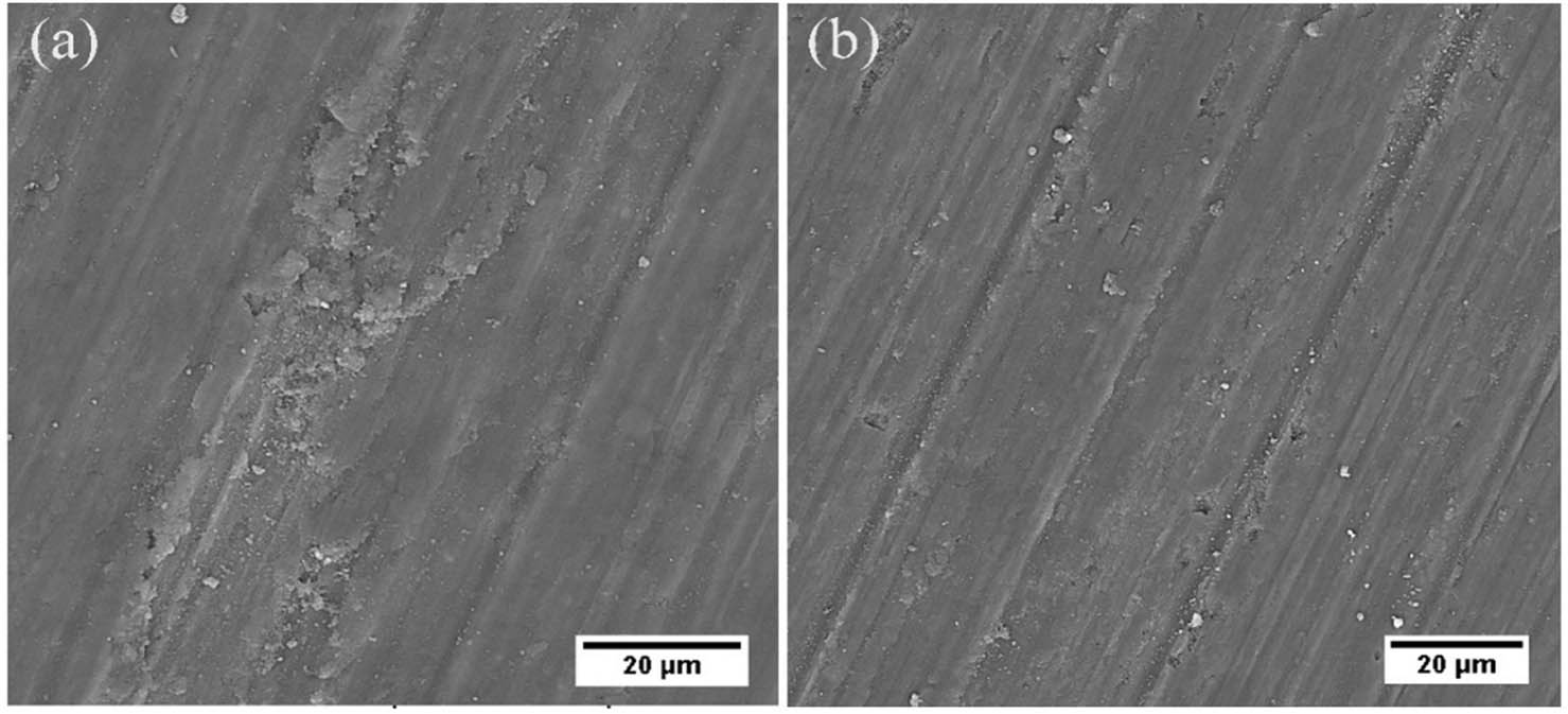 Figure 12 
                  SEM microphotographs of worn surface of composite samples after (a) Step #1 and (b) Step #8.