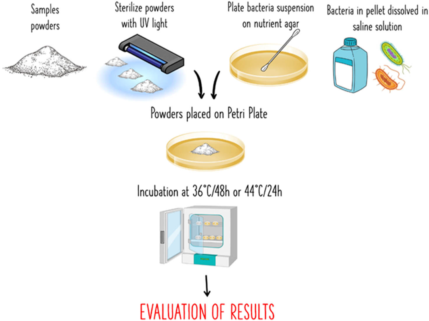 Figure 2 
                  Flowchart procedure for the evaluation of the antibacterial properties.
               