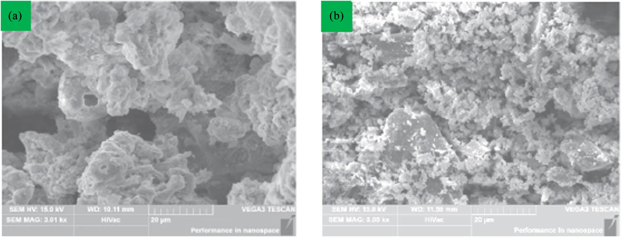 Figure 6 
               SEM of (a) coarse SSA and (b) fine SSA [33].
            