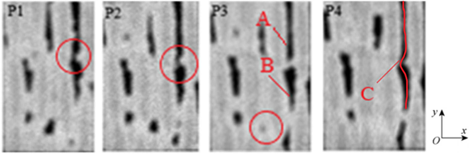 Figure 5
Evolution process of damage in the xOy plane.
