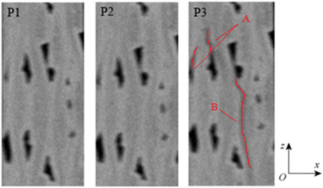 Figure 10
Evolution process of local area damage in the xOz plane.