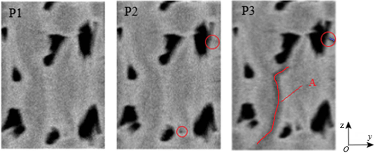 Figure 11
Evolution process of local area damage in the yOz plane.