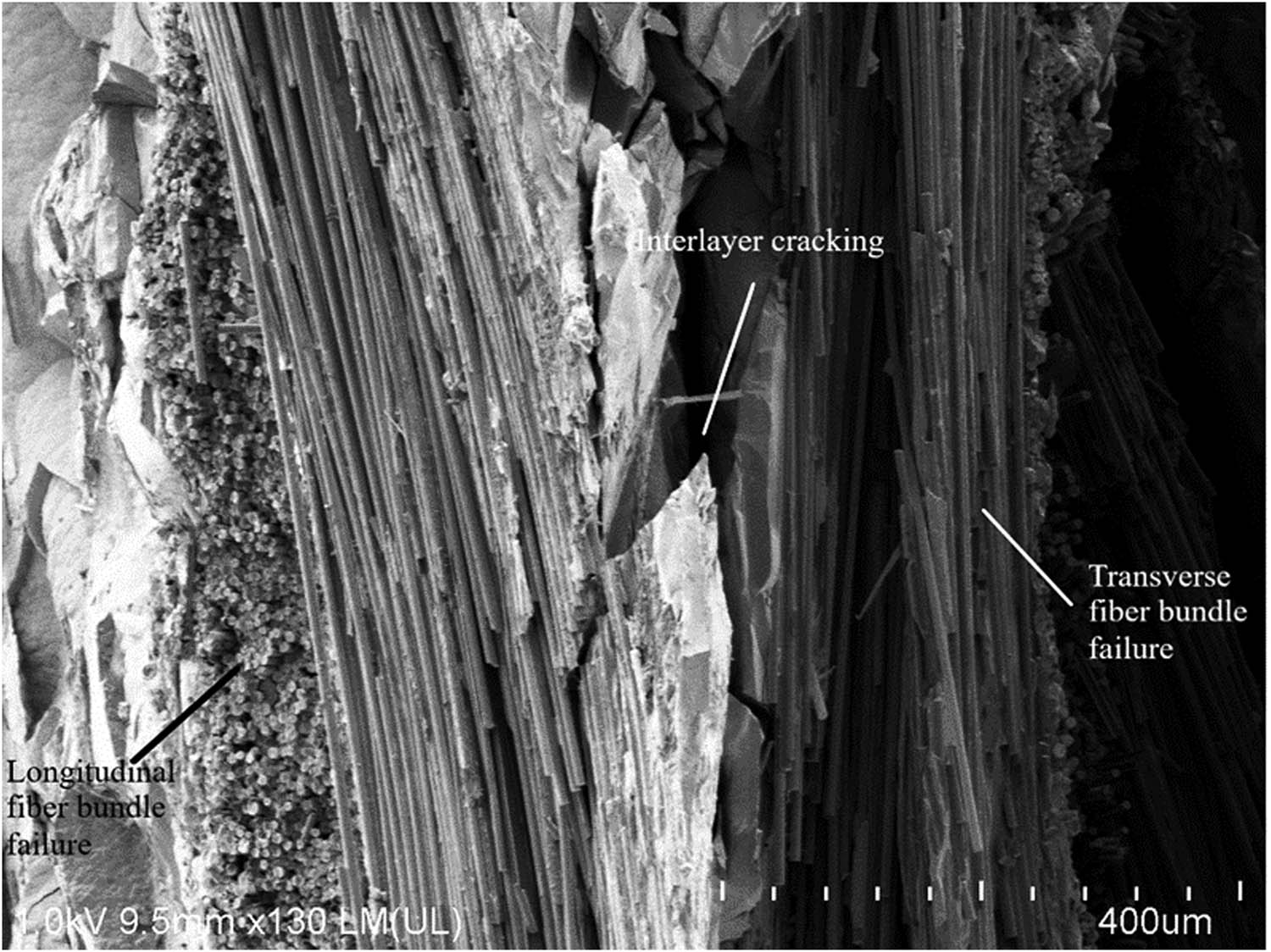 Figure 12
SEM image of the tensile compressive surface of the specimen.