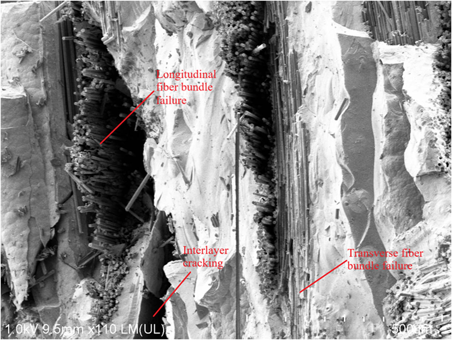 Figure 13
SEM image of the tensile fracture surface of the specimen.