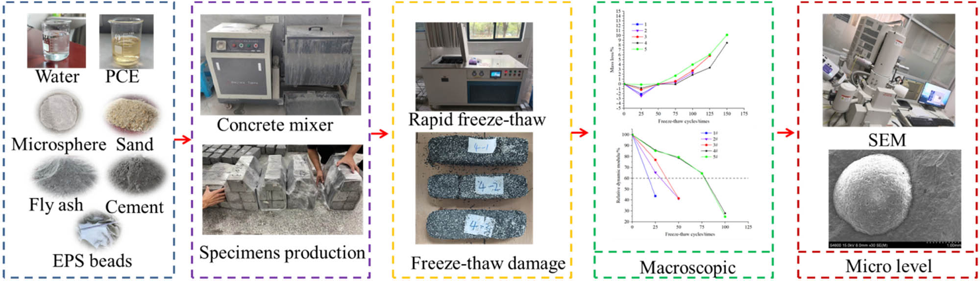 Figure 5
Main experimental flowchart.