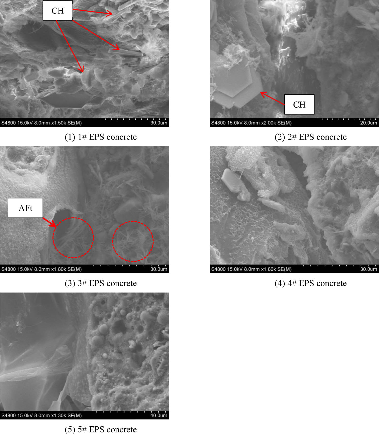 Figure 17
Hydration product structure after freeze–thaw. (1) 1# EPS concrete. (2) 2# EPS concrete. (3) 3# EPS concrete. (4) 4# EPS concrete. (5) 5# EPS concrete.