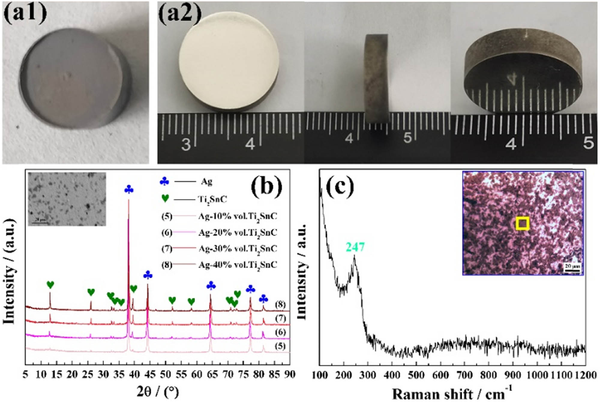 Figure 3
(a1) The sintered block; (a2) the polished samples; (b) XRD pattern of the Ag–(10–40 vol%) Ti2SnC composite; and (c) Raman spectroscopy of the Ag–40 vol% Ti2SnC composite.