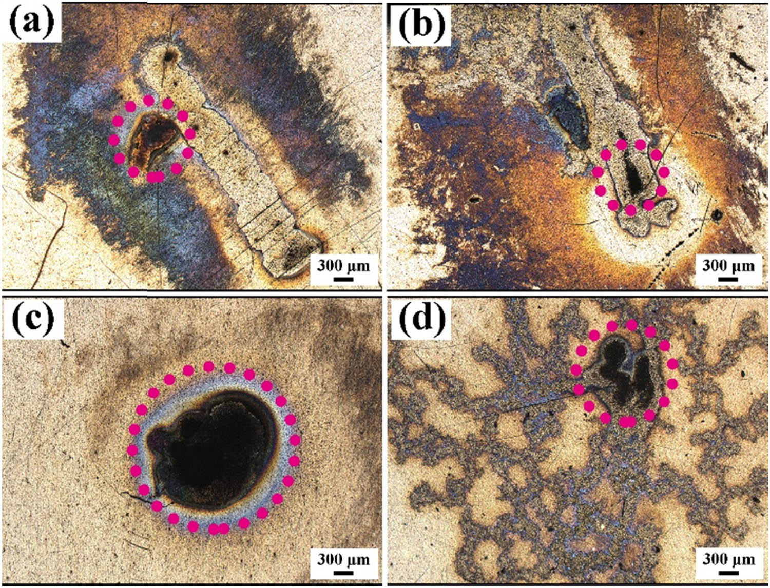 Figure 6
Micro-images of the eroded Ag–Ti2SnC with Ti2SnC content values of (a) 10 vol%, (b) 20 vol%, (c) 30 vol%, and (d) 40 vol% obtained in laser color mode using a three-dimensional laser scanning confocal microscope.
