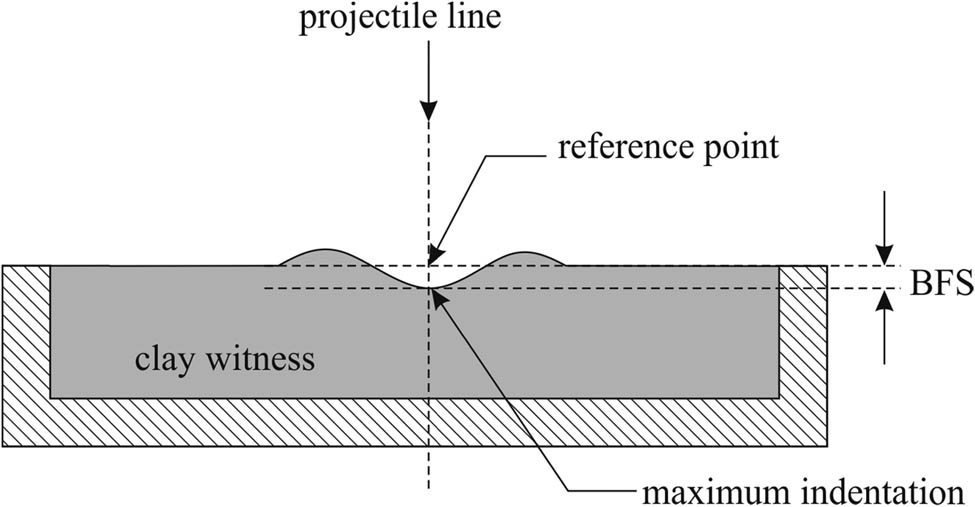 Figure 5
BFS measurement.