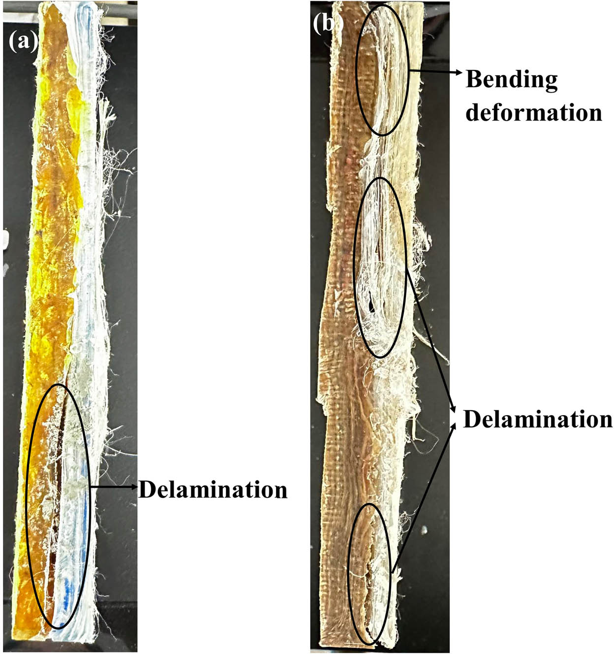 Figure 6
The deformation of composite plate samples after the impact test: (a) hybrid silkworm cocoon waste-reinforced epoxy/UHMWPE composite and (b) hybrid hemp woven-reinforced epoxy/UHMWPE composite.