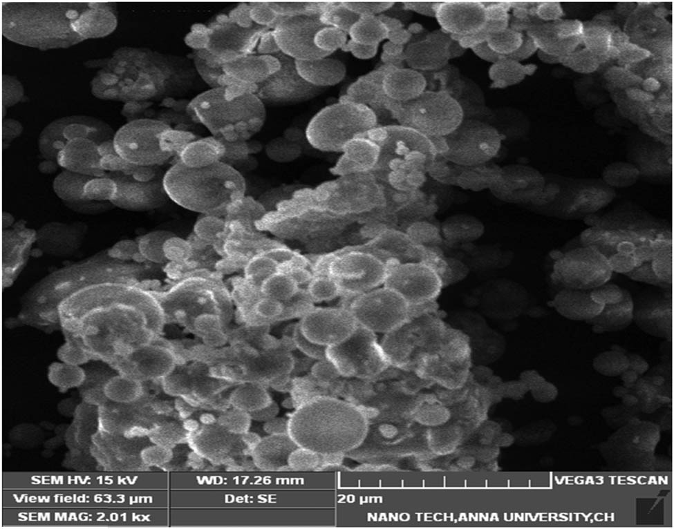 Figure 1
Surface morphology of fly ash particles.