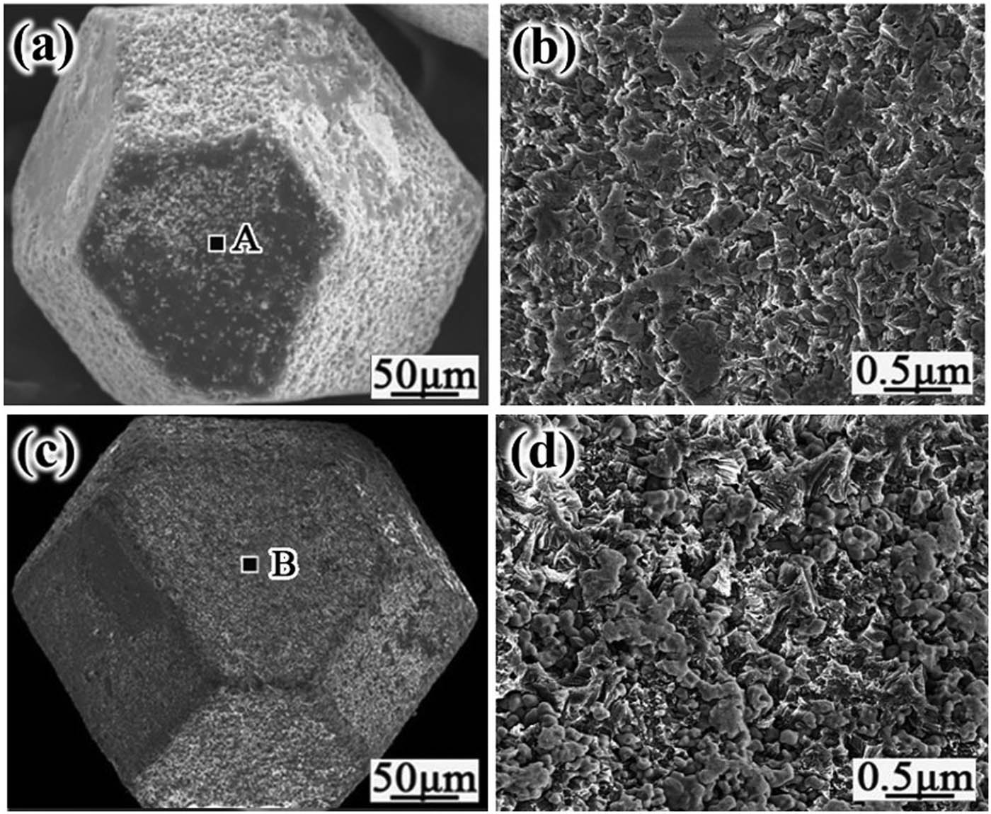 Figure 5
Microstructure of Mo2C-coated diamond at 60 min for different temperatures: (a) 980°C, (b) magnified view of the region in (a), (c) 1,020°C, and (d) magnified view of the region in (c).