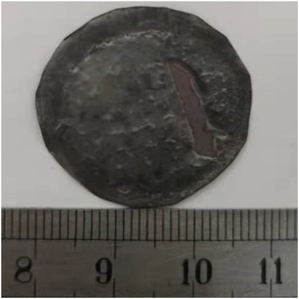 Figure 3
Surface photo of the sample.