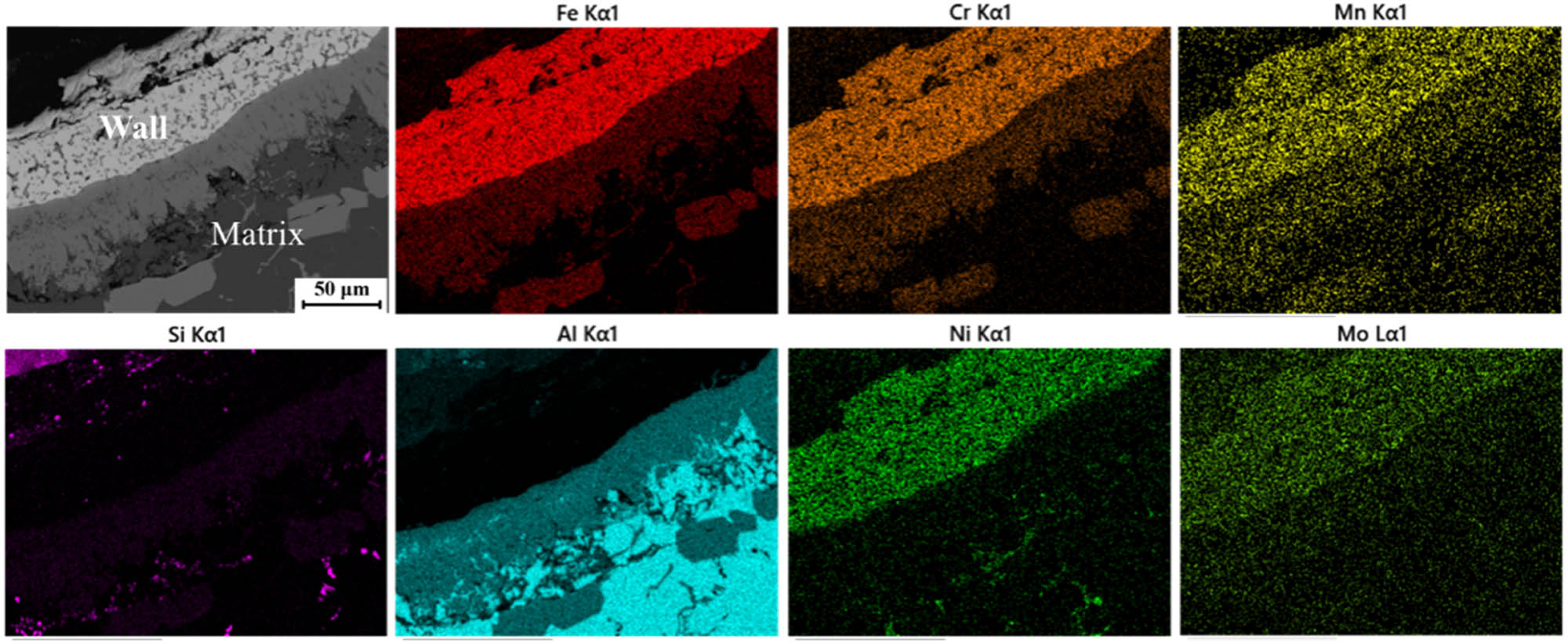 Figure 5
The distribution of alloying elements at the transition layer.