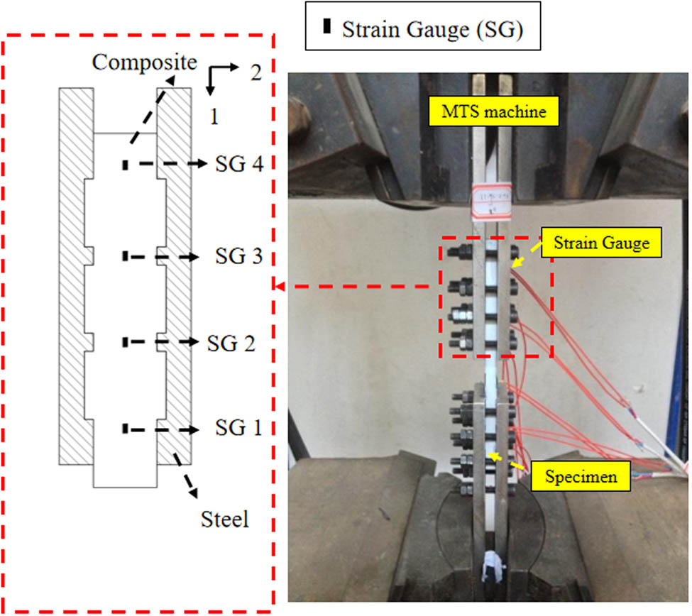 Figure 8
Schematic diagram of the strain gauge mounted on the three-tooth specimen.