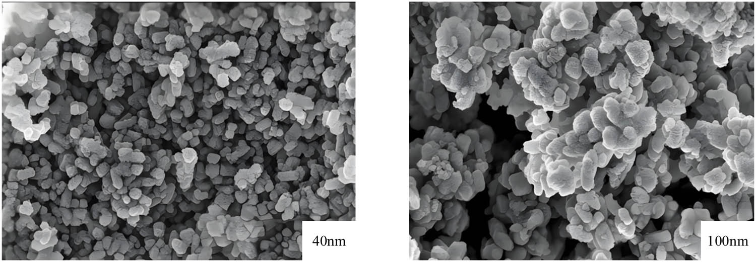 Figure 2 
                  SEM image of nano-TiO₂-PU composite material.
               