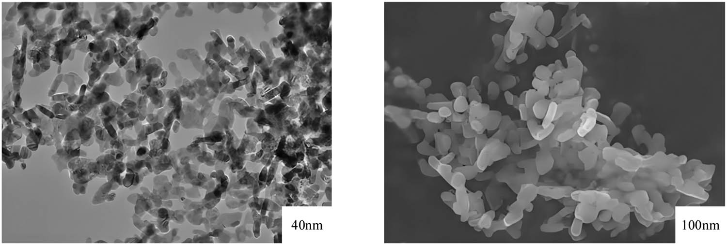 Figure 3 
                  SEM image of nano-ZnO-PU composite material.
               