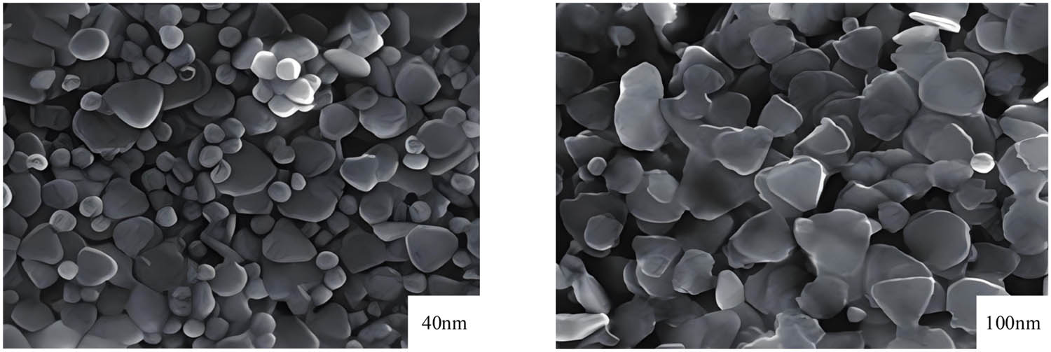 Figure 4 
                  SEM image of nano-Ag-PU composite material.
               