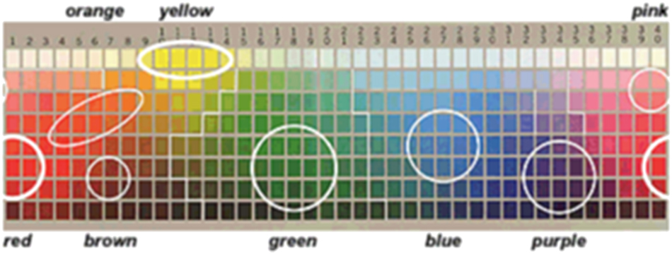 Figure 2: 
Showing the placement of the BCTs on the Munsell color chart (see MacEvoy 2015).
