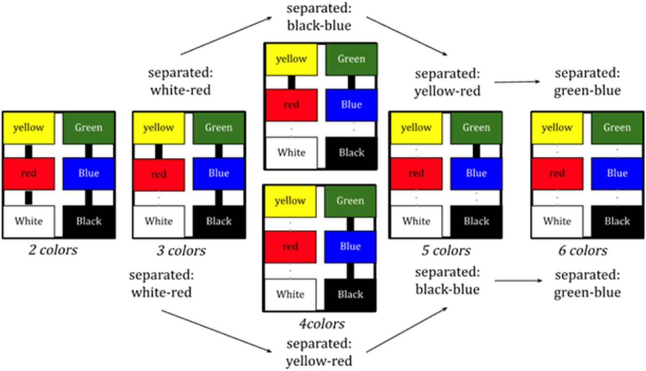 Figure 4: 
Showing the evolutionary process of going from two to eleven BCSs (after Kay and Moffi 1999).
