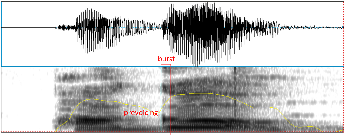 Figure 1:
Example of a voiced stop production of /ɡ/ in the word /paˈɡo/ ‘paid.3sg.’ (speaker R). The burst and prevoicing are labeled in the figure.
