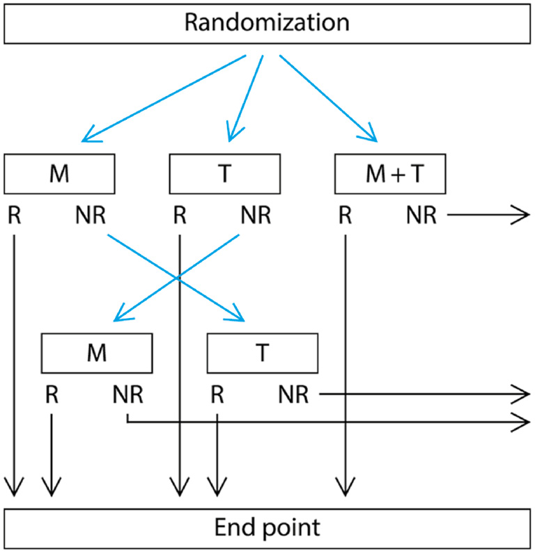 Fig. 1: 
            Flow chart. Non-responders (NR) to the initial mirror or tactile treatment were crossed over to M or T mono-therapy for 4 weeks. Non-responders to initial combined treatment did not undertake further treatment. All responders (R) were examined 3 months after the end of treatment.
          