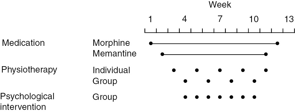 Fig. 1:
Study plan of CRPS intergraded intervention.