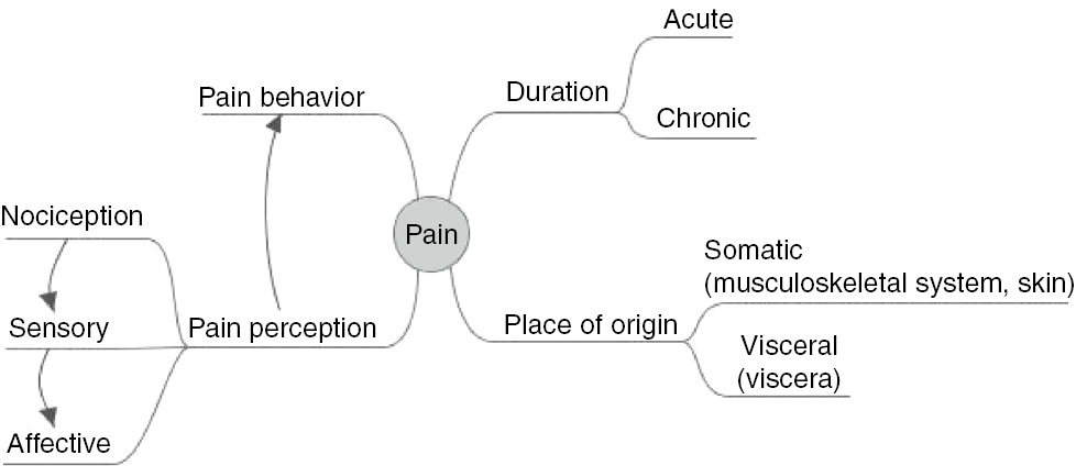 Fig. 1: 
          Overview of the phenomenon of pain.
        