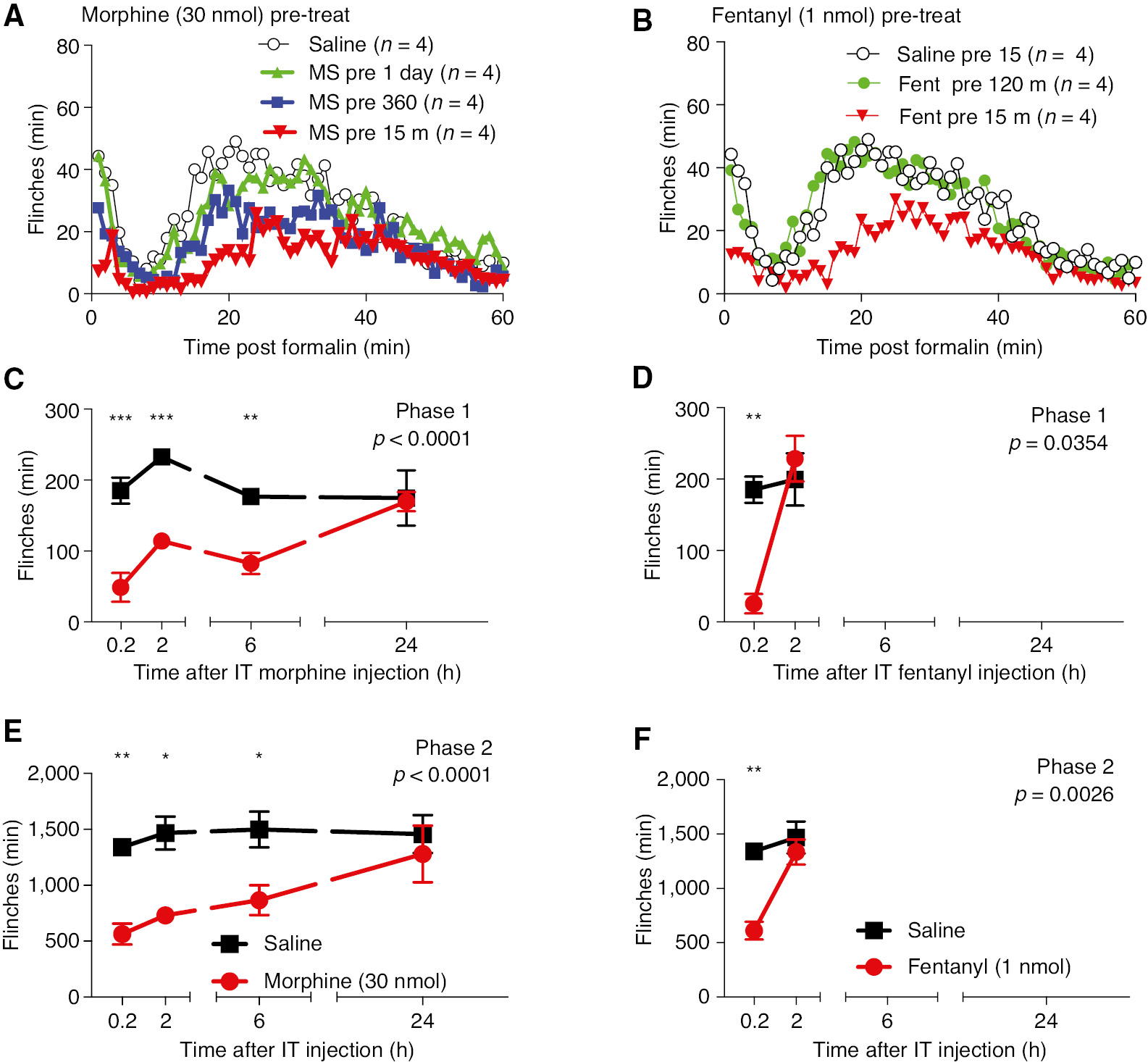 Fig. 5: 
            (A) Minute by minute plot of formalin-induced flinching at 15 min and 2, 6 and 24 h after pretreatment with IT morphine (30 nmol/10 μL) or the IT vehicle (10 μL). (B) Minute by minute plot of formalin induced flinching at 15 min (0.2 h) and 2 h after pretreatment of IT Fentanyl (1 nmol/10 μL) or the IT vehicle (10 μL). (C) Total flinch count during phase 1 (0–10 min) and phase 2 (11–60 min) at (C) 15 min, 2, 6 and 24 h after pretreatment with Morphine or (D) 15 min or 2 h for IT Fentanyl. Comparisons were made with two-way ANOVA (Treatment main effect p-value shown in each graph). Post hoc comparisons were carried out between each drug treatment and vehicle using Sidak post hoc test. (*p<0.05, **p<0.01, ***p<0.01).