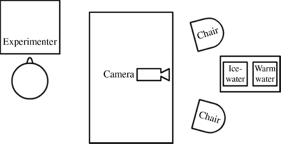 Fig. 2: 
              Experimental setup. Schematic depiction of the experimental setup used in both experiments.
            