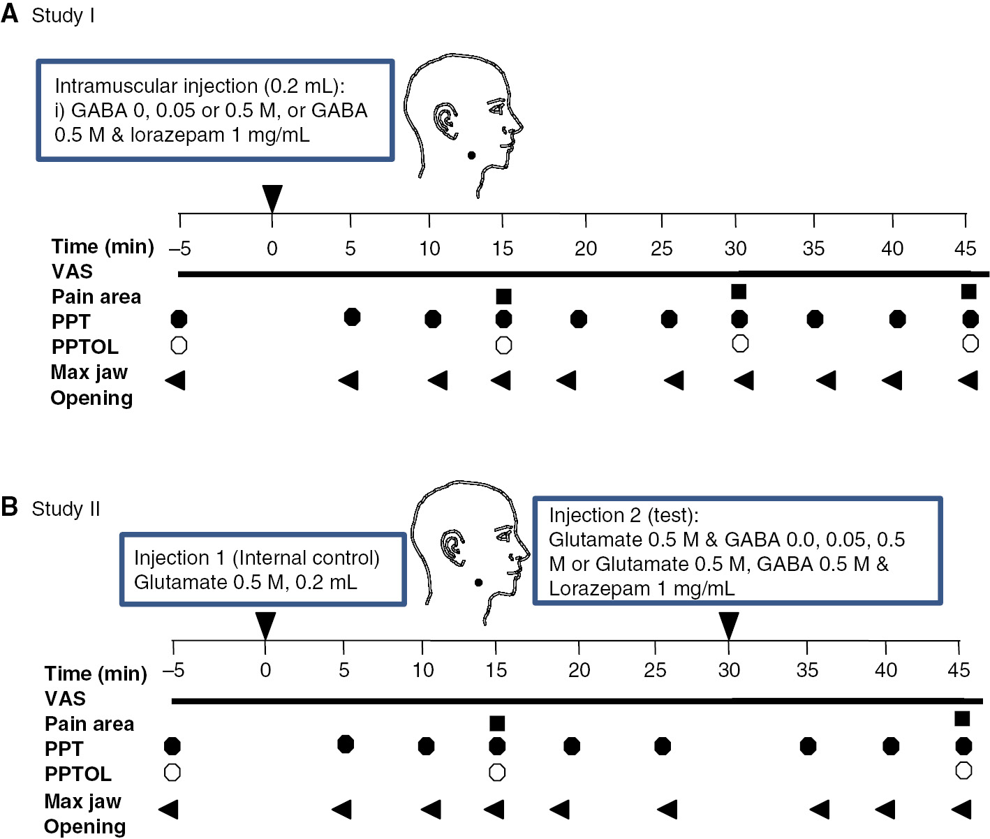 Fig. 1: 
            (A) The drawing shows the structure of study I. (B) The drawing shows the structure of study II.
          